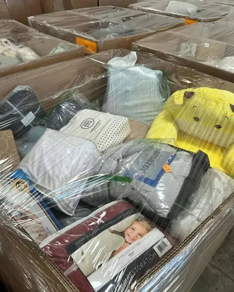 508390607_122122551668822618_7698408487352800424_n