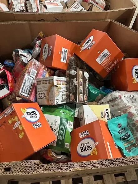 510827871_122123947742822618_3732936548630412678_n