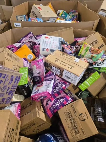 510950508_122123771312822618_6488249435863937973_n