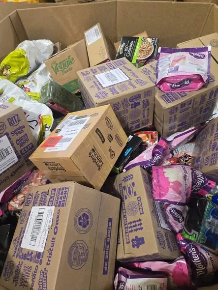 510962017_122123771144822618_6951981774566673814_n