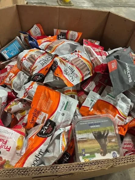 512691949_122123947814822618_1469267611212912379_n