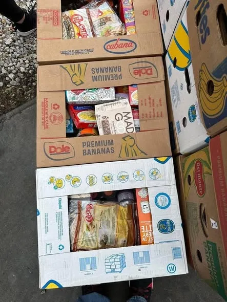 513221825_122123939390822618_8014815256293844218_n