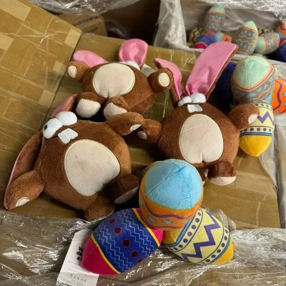 513822728_122124465752822618_7405311124897739091_n