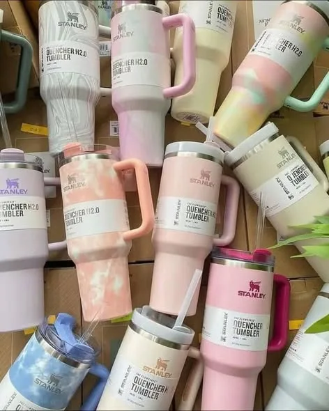 541299262_122133337340822618_5997003117508006616_n