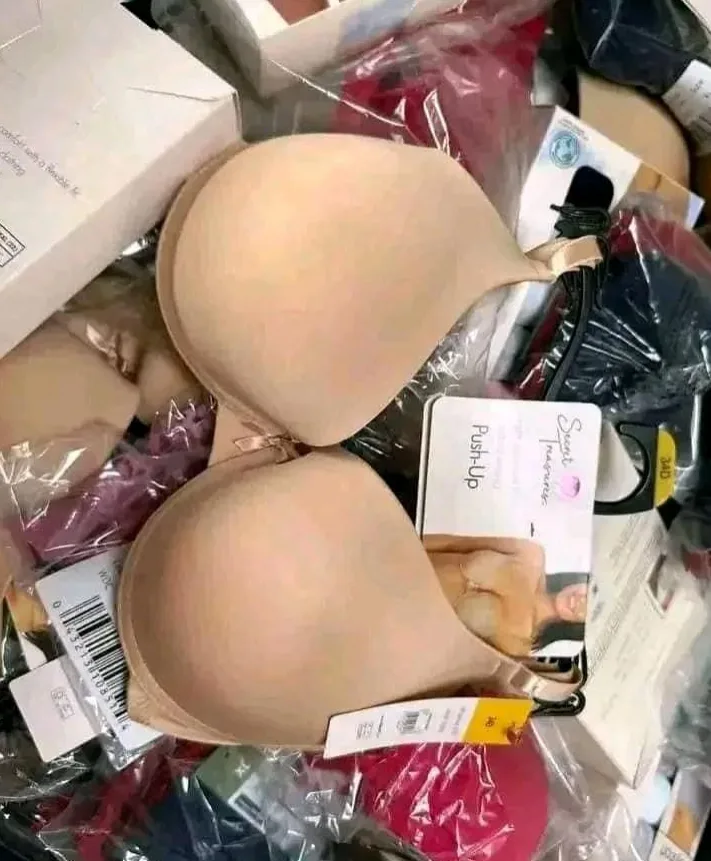 Screenshot-2024-08-23-152129