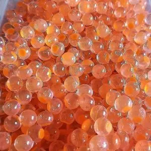 WhatsApp-Image-2024-10-02-at-07.12.28-1-300x300