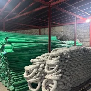 WhatsApp-Image-2024-12-21-at-21.01.32-300x300