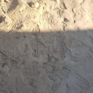 WhatsApp-Image-2024-12-21-at-21.12.03-300x300