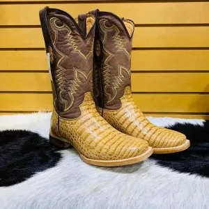 WhatsApp-Image-2025-03-05-at-21.39.102-300x300