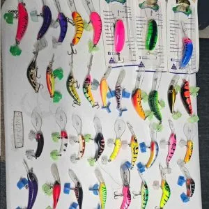 fishing-lure21-300x300