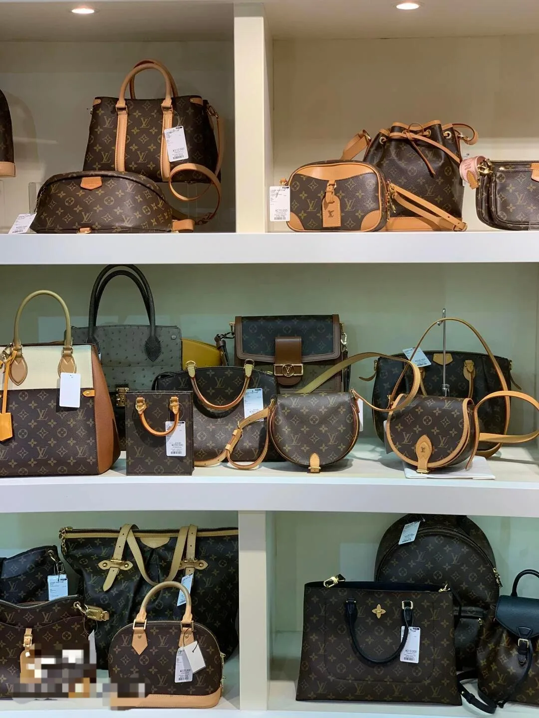 ocBosDkUQDSPJTA1kDGE92wAeIEtgAFbnlCckftplv-pyavlv3z7u-text-logo_QGFuZHlsdXh1cnliYWdz_q75-1